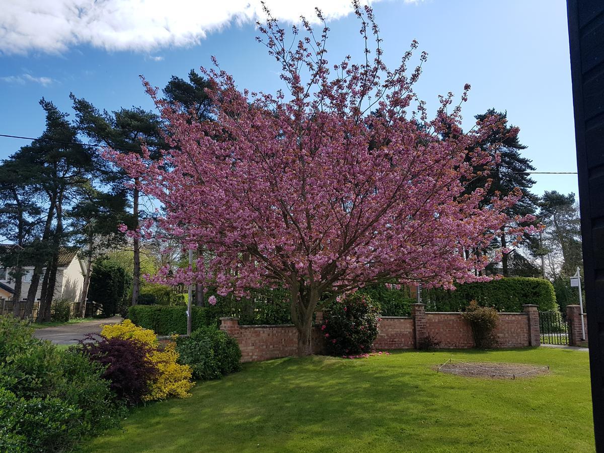 South Walsham Leeward Bed & Breakfast מראה חיצוני תמונה